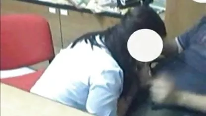 Keledai menghormati arsitek xxx indo gratis